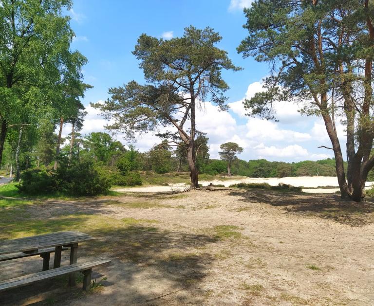 Soesterduinen